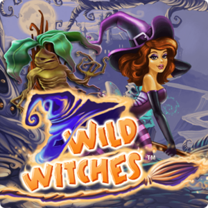 Wild Witches